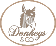 DONKEYS & CO